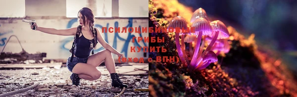 2c-b Елизово