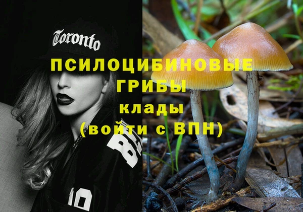 молекула духа Заводоуковск