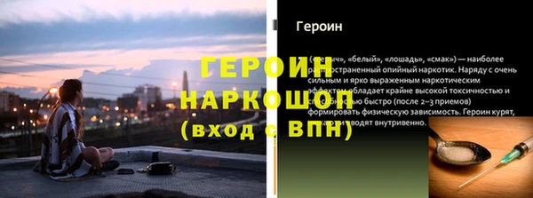 прущие грибы Елабуга
