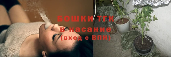 мет Ельня