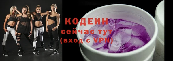 молекула духа Заводоуковск