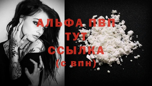 мет Ельня