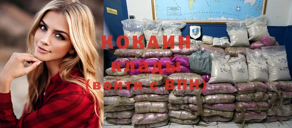 мет Ельня