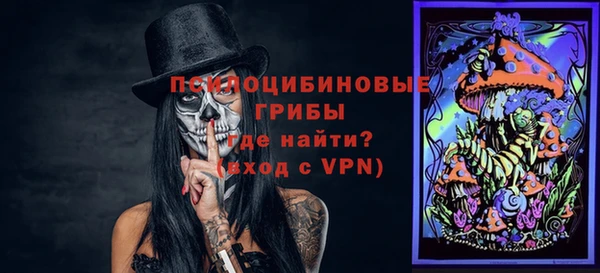 стафф Дмитровск