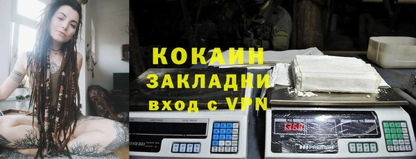 прущие грибы Елабуга