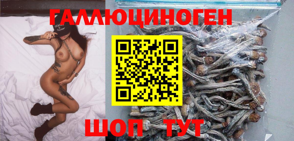 Псилоцибиновые грибы Psilocybine cubensis Обнинск